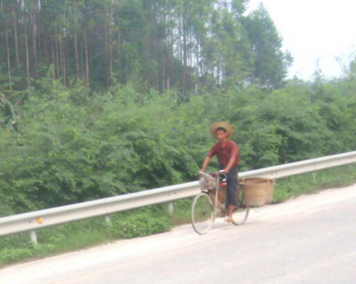 Heavy duty baskets (panniers), biking to work.
